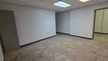 29531079