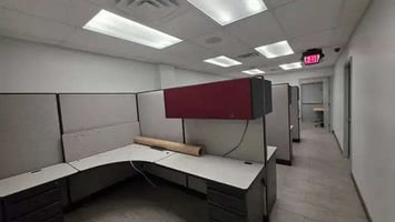 29531052