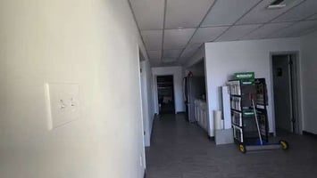29531061