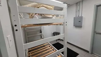 29531053