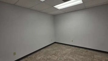29531081