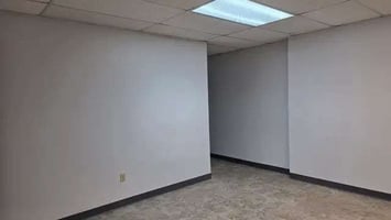 29531084