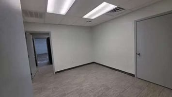 29531058