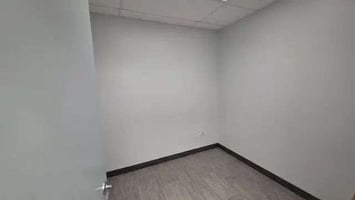 29531051