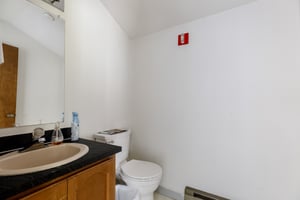 29531341