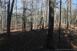 29532849