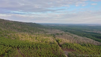 29532864