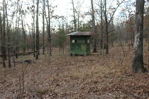 29532878