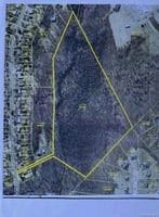 29554214