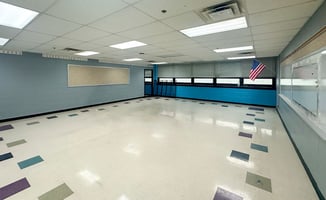 29534594