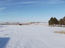 29537640