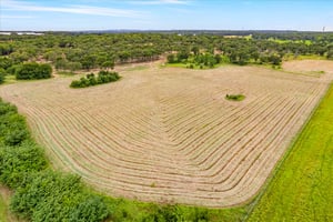 29540528
