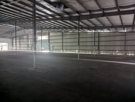 29540796