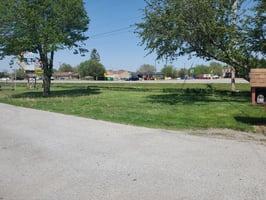 29541024