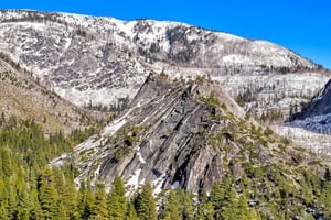 29544305