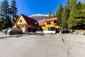 29543818
