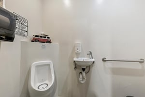29543796