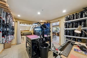 29543831