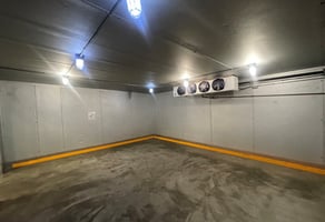 29541102