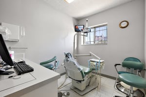 29541542