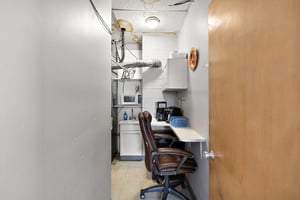 29541539