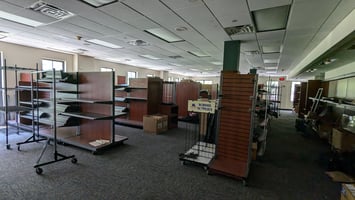 29541889