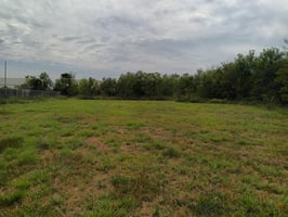 29542550