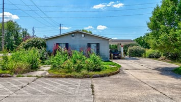 29542481