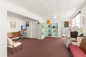 29542623