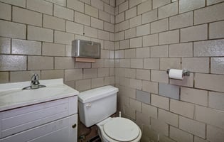 29542754