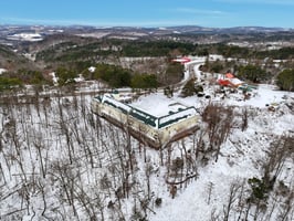 29542846