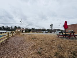 29543301