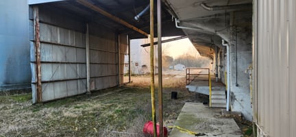 29564774