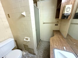 29544491