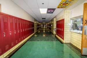 29545180