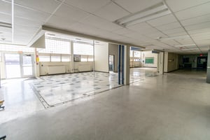 29545178