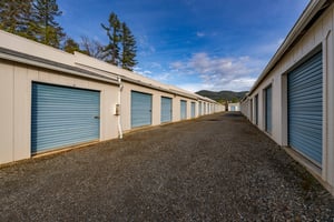 29545618