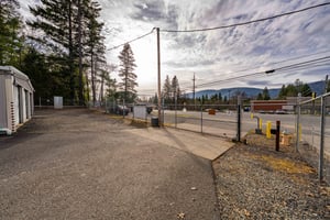29545589