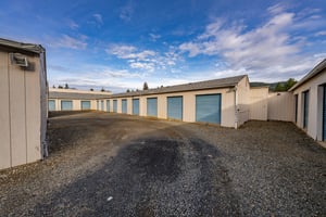 29545626