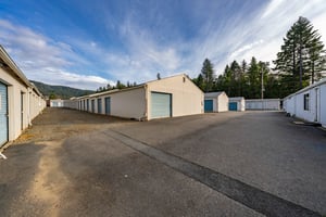 29545619