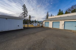 29545621
