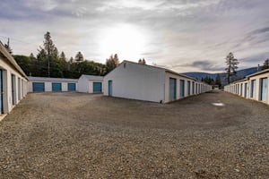 29545613