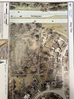 29545643