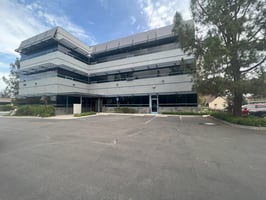29545652