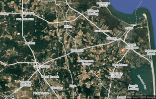 29547126