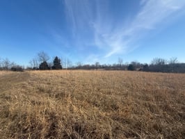 29548784
