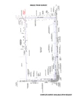 29549079