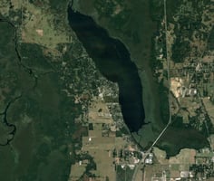 29549581