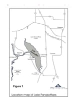 29549580