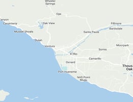 29549505